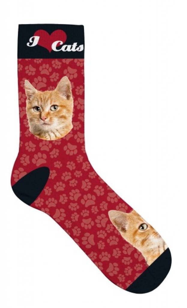 Socken "Orange Tabby"